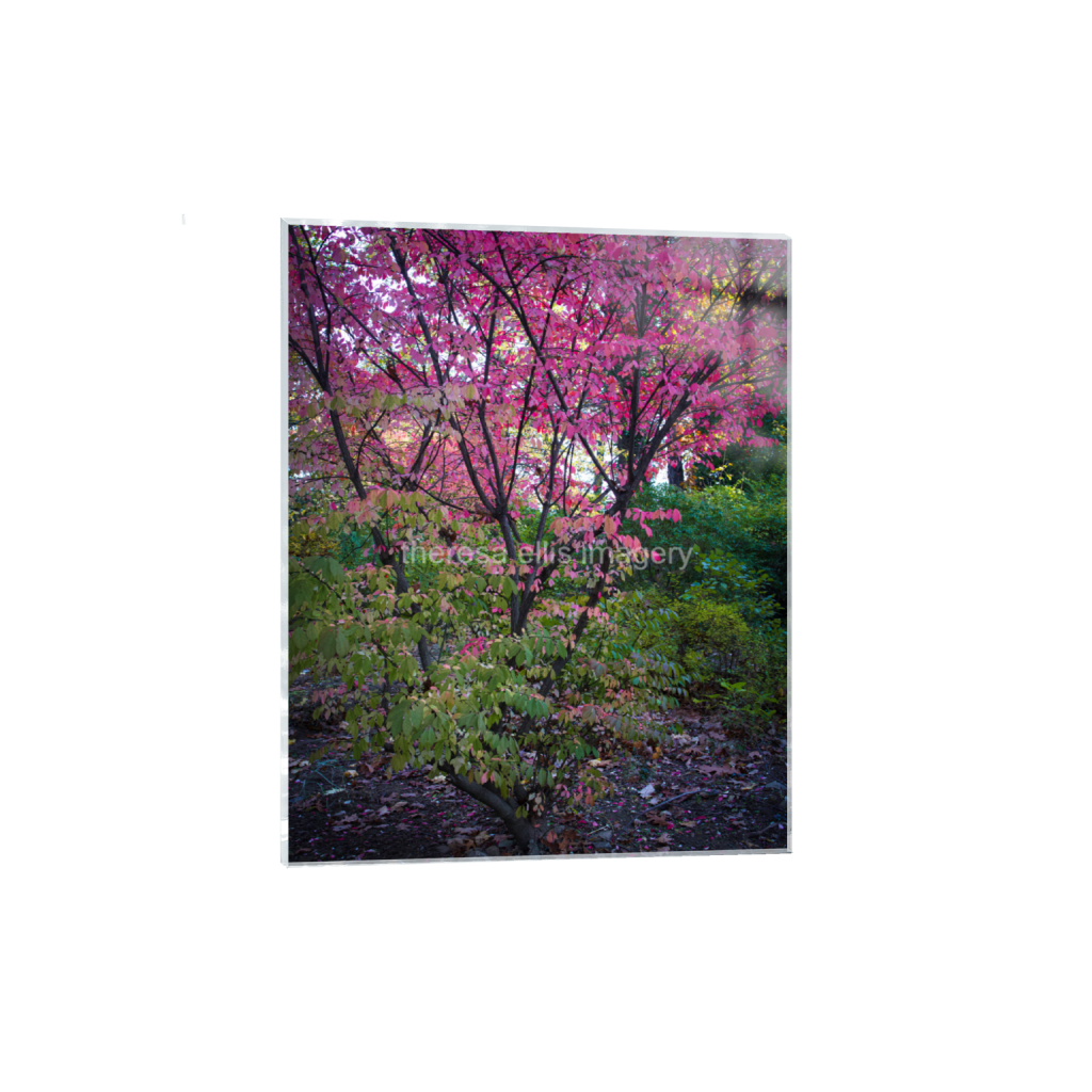 ptq_17_6_0_560_4480_5600_0_false_ffffff_0_0_5c8a65ded2a0bd5ee7c2169a49639388.png
