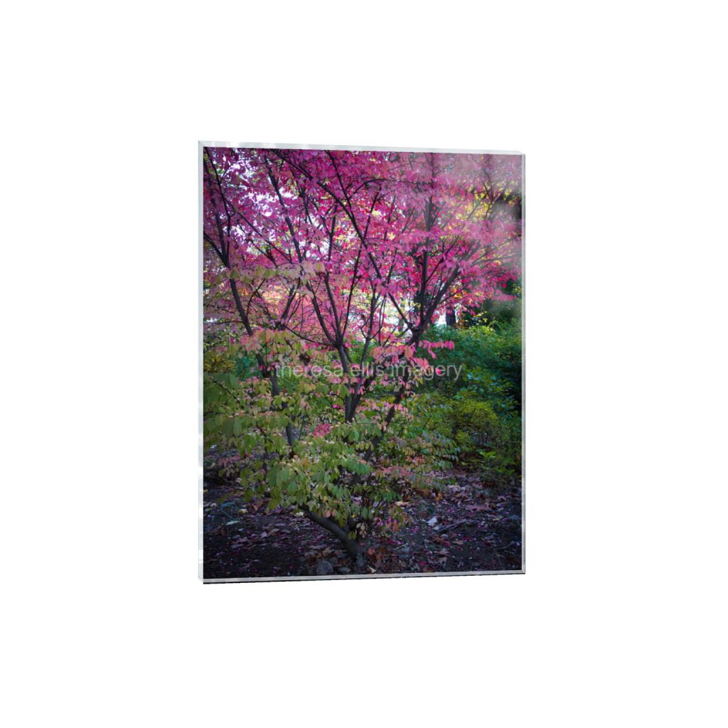 ptq_17_5_0_373_4480_5973_0_false_ffffff_0_0_5c8a65ded2a0bd5ee7c2169a49639388.png