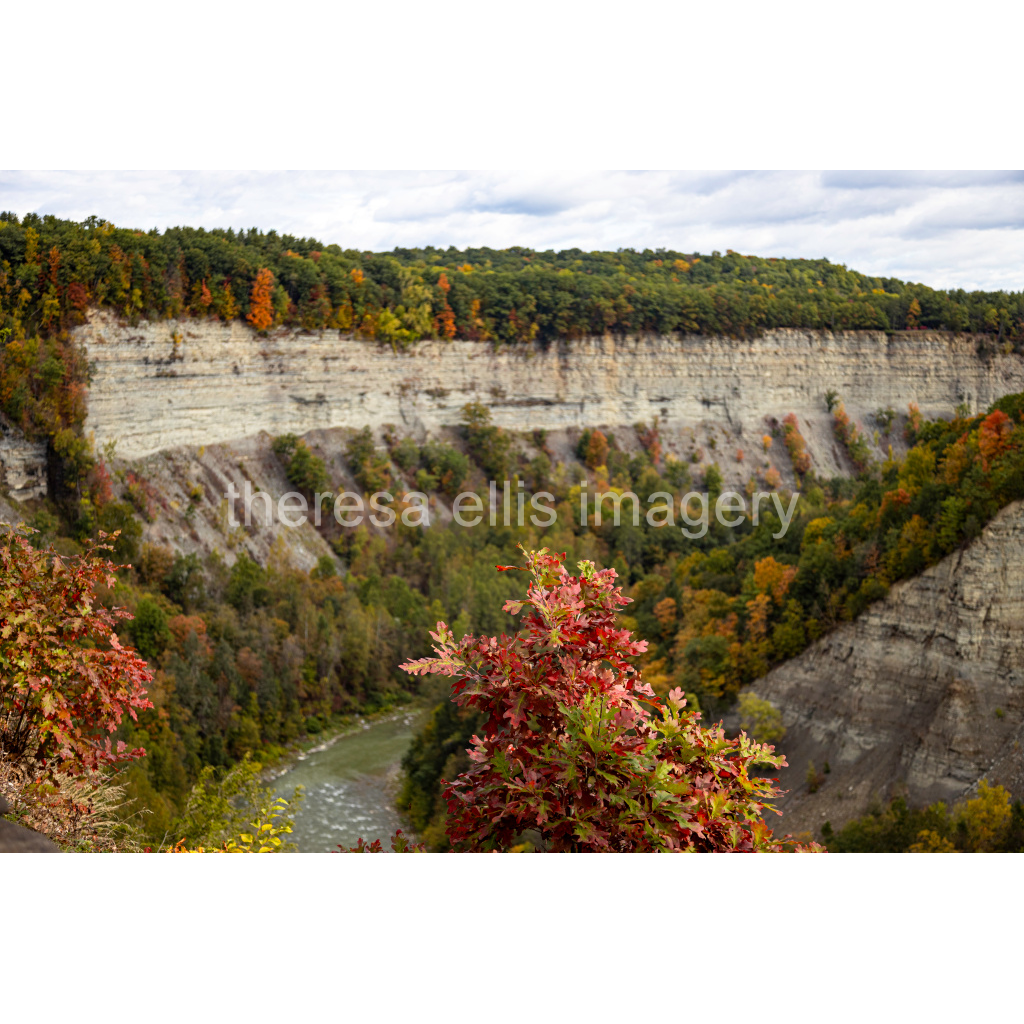 image_original_5c8a65ded2a0bd5ee7c2169a49639388.png