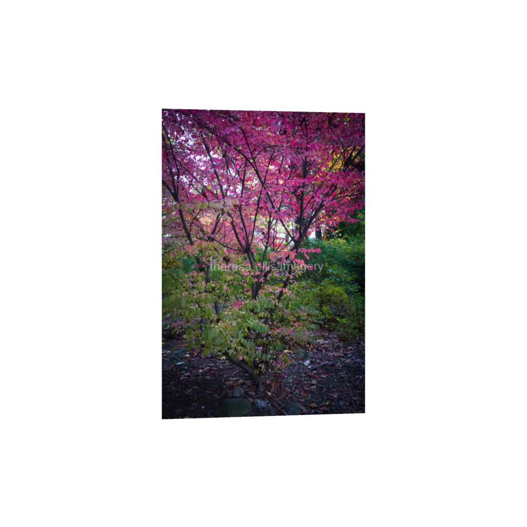 ptq_34_3_0_0_4480_6720_0_false_ffffff_0_0_5c8a65ded2a0bd5ee7c2169a49639388.png