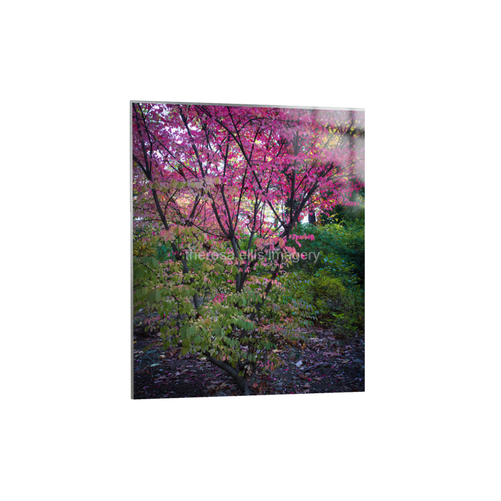 ptq_13_6_0_560_4480_5600_0_false_ffffff_0_0_5c8a65ded2a0bd5ee7c2169a49639388.png