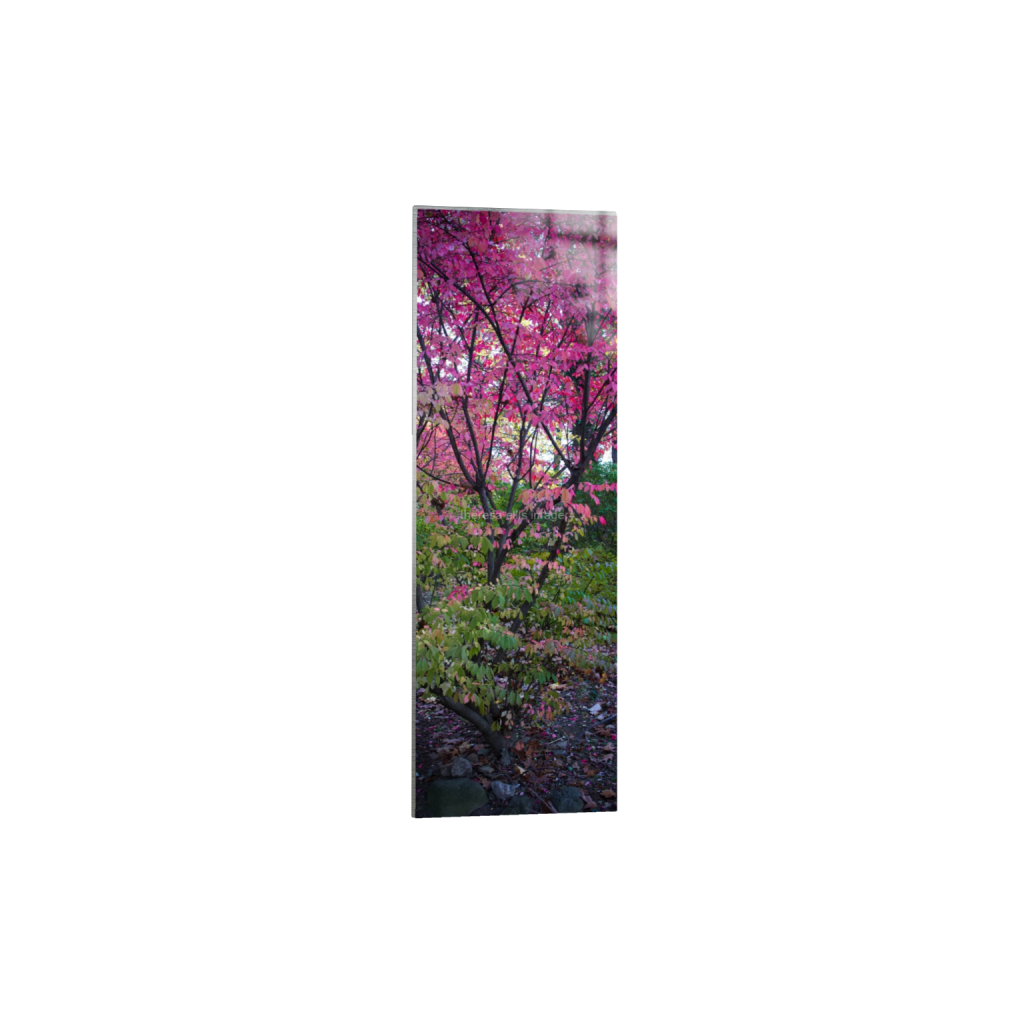 ptq_13_2_1120_0_2240_6720_0_false_ffffff_0_0_5c8a65ded2a0bd5ee7c2169a49639388.png