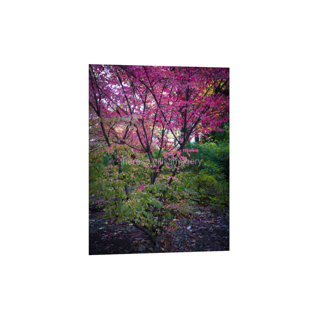 ptq_34_5_0_373_4480_5973_0_false_ffffff_0_0_5c8a65ded2a0bd5ee7c2169a49639388.png