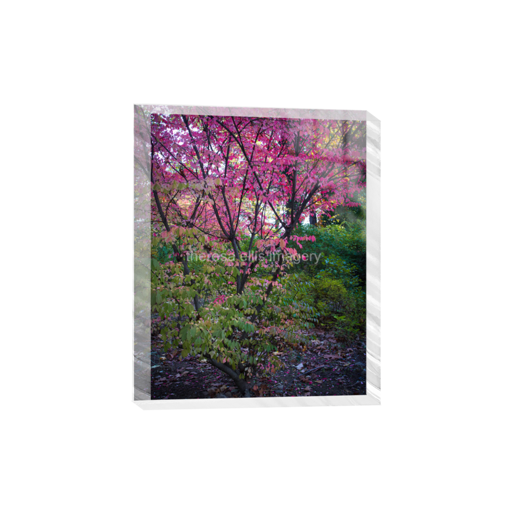 ptq_300_6_0_560_4480_5600_0_false_ffffff_0_0_5c8a65ded2a0bd5ee7c2169a49639388.png