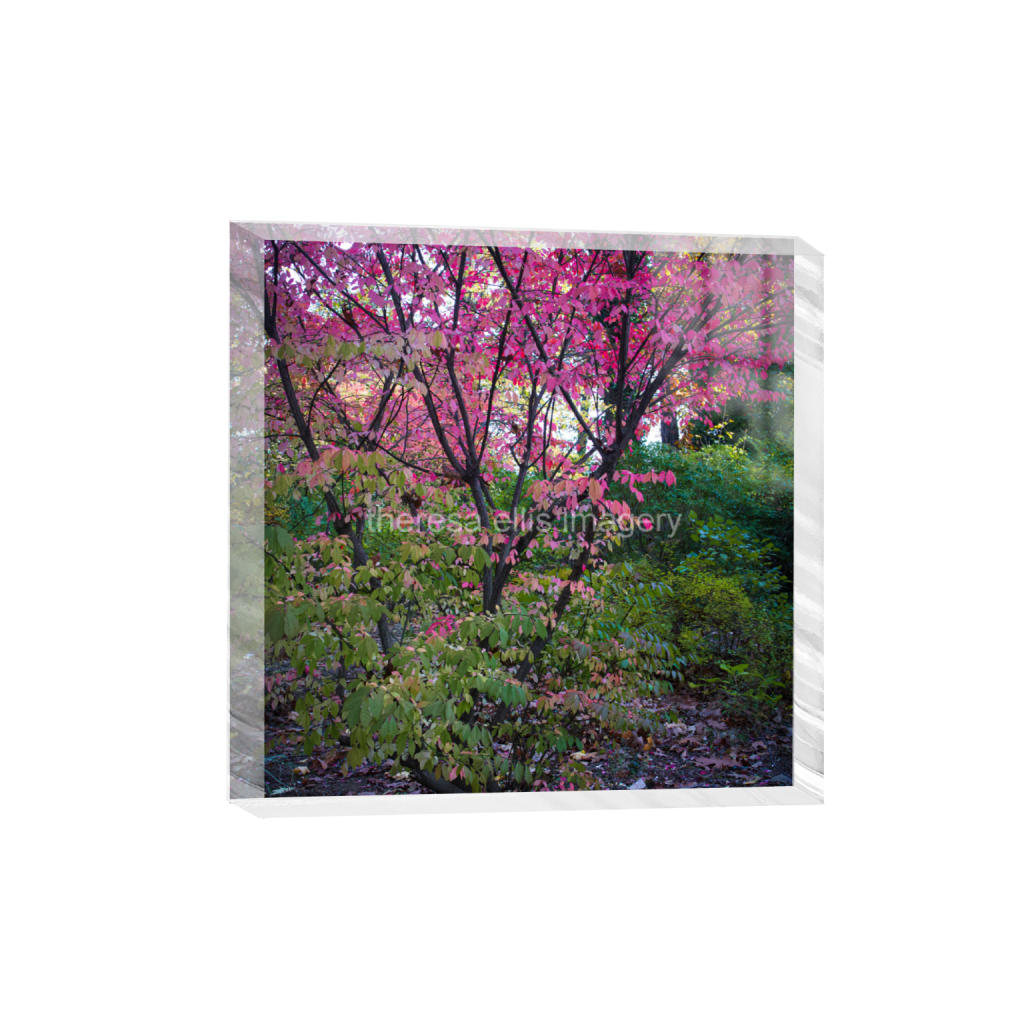 ptq_300_0_0_1120_4480_4480_0_false_ffffff_0_0_5c8a65ded2a0bd5ee7c2169a49639388.png