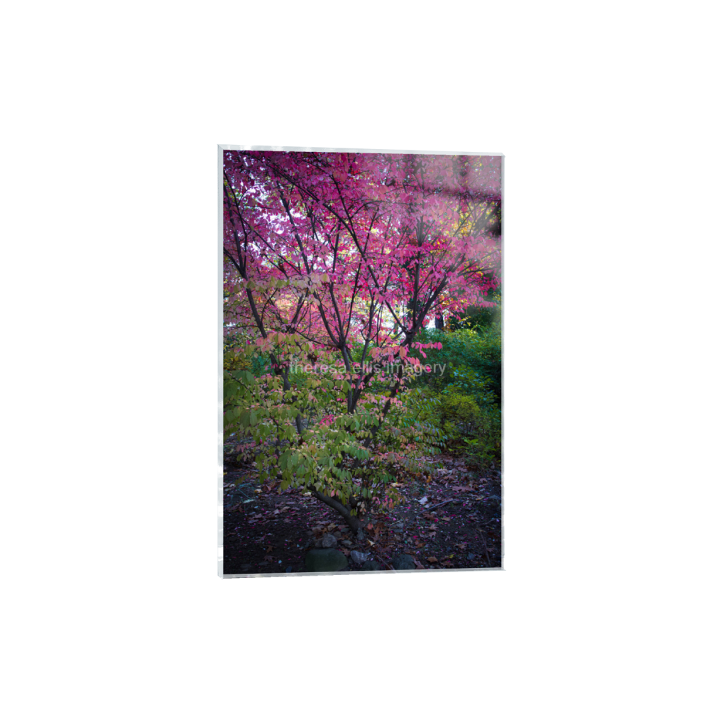 ptq_17_3_0_0_4480_6720_0_false_ffffff_0_0_5c8a65ded2a0bd5ee7c2169a49639388.png