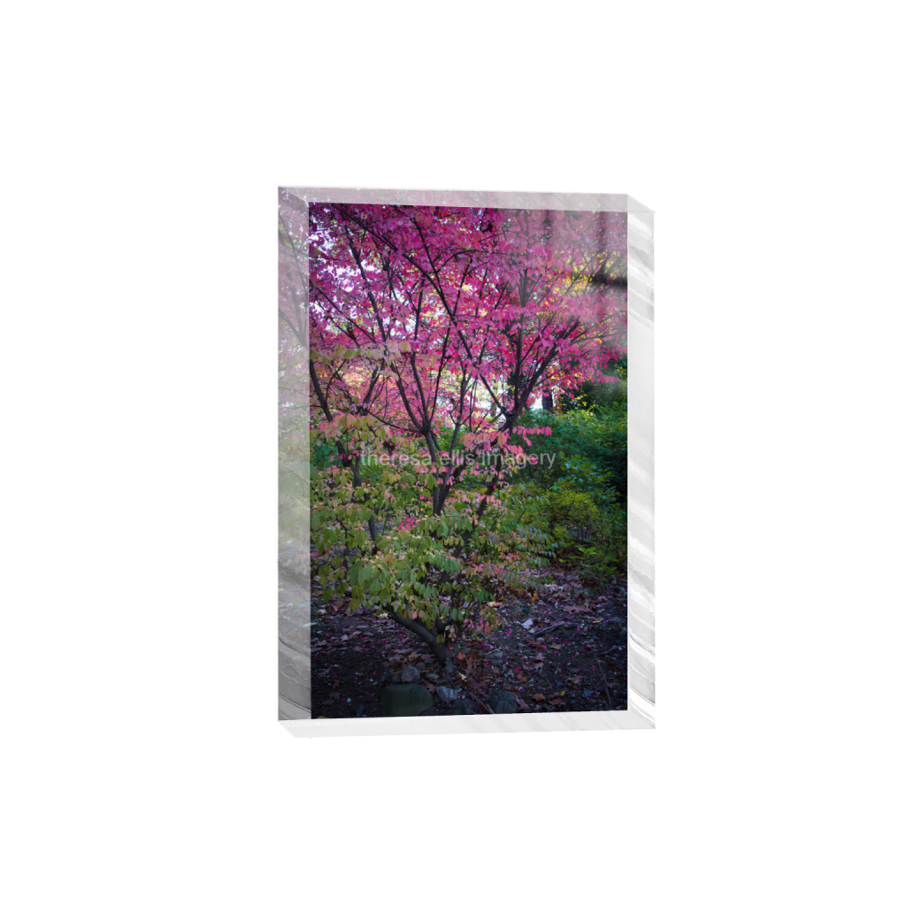 ptq_300_3_0_0_4480_6720_0_false_ffffff_0_0_5c8a65ded2a0bd5ee7c2169a49639388.png