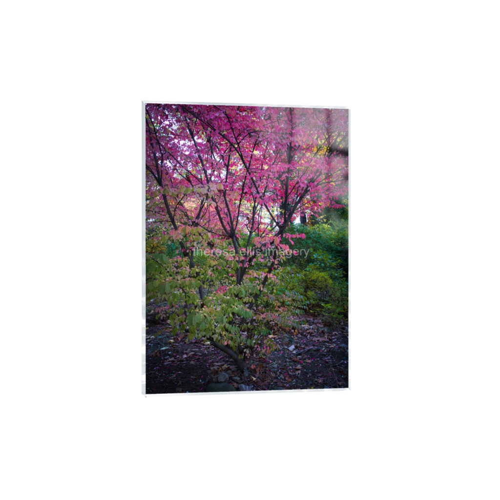 ptq_17_7_0_224_4480_6272_0_false_ffffff_0_0_5c8a65ded2a0bd5ee7c2169a49639388.png
