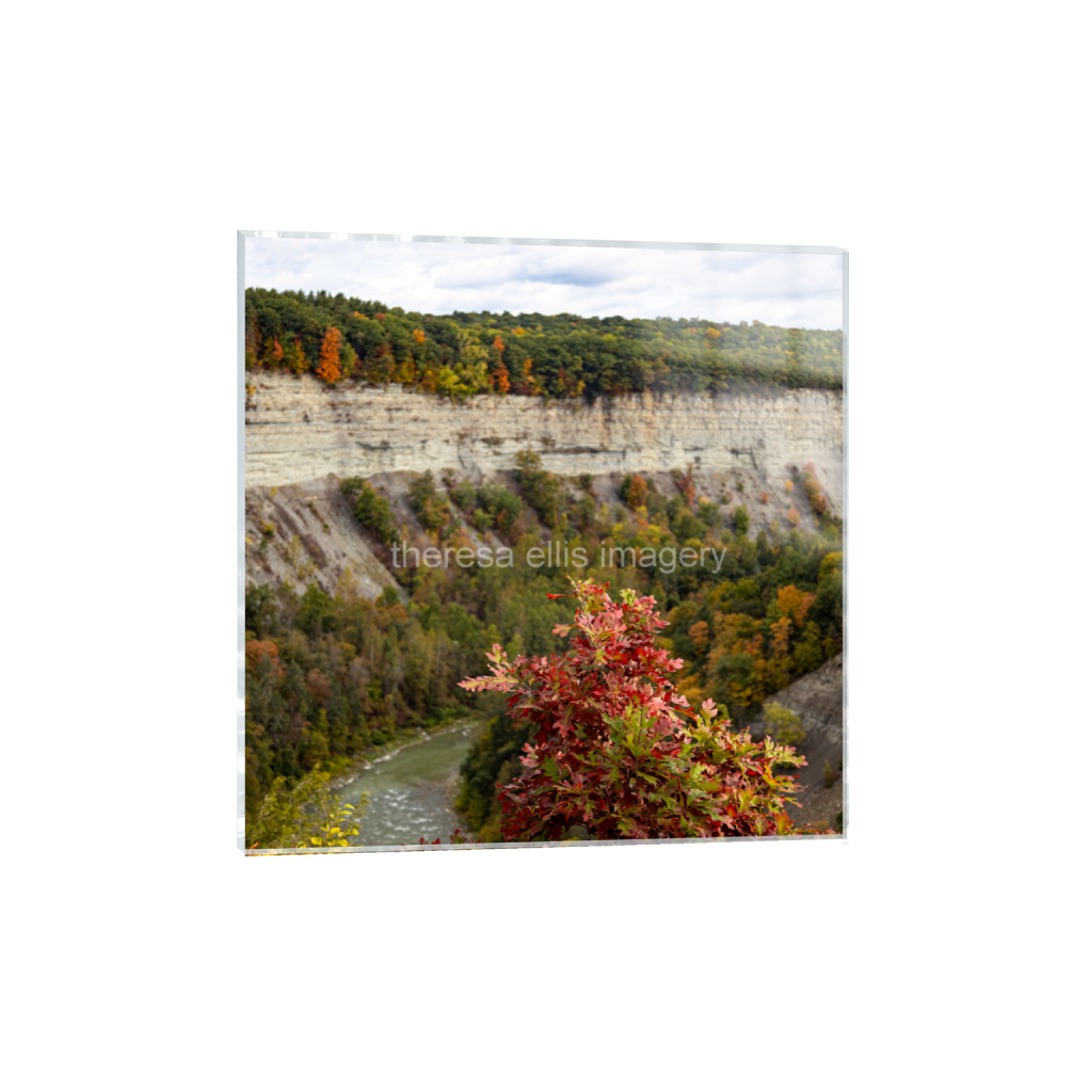 ptq_17_0_4729_0_18918_18918_0_false_ffffff_0_0_5c8a65ded2a0bd5ee7c2169a49639388.png