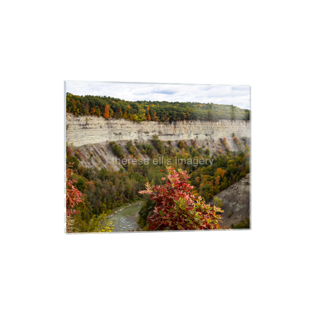 ptq_17_6_2364_0_23647_18918_0_false_ffffff_0_0_5c8a65ded2a0bd5ee7c2169a49639388.png