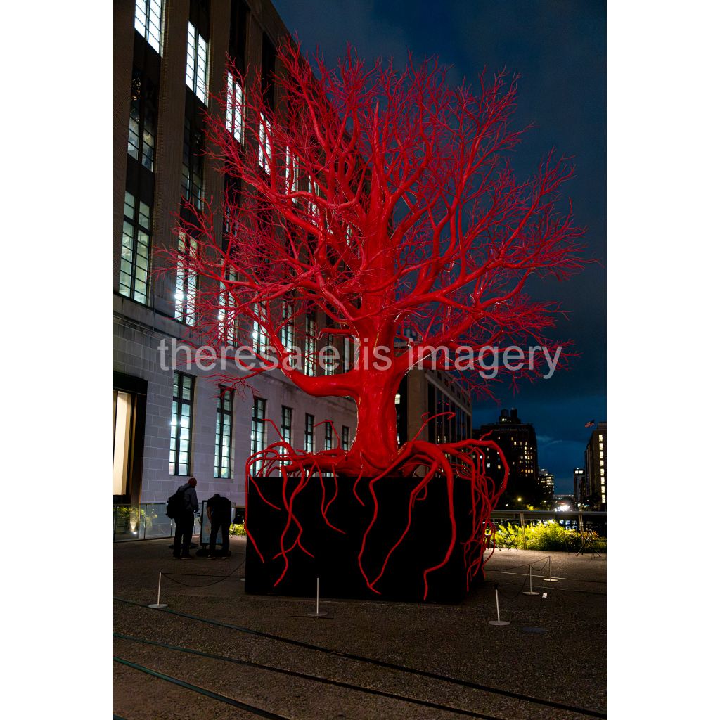 image_original_5c8a65ded2a0bd5ee7c2169a49639388.png