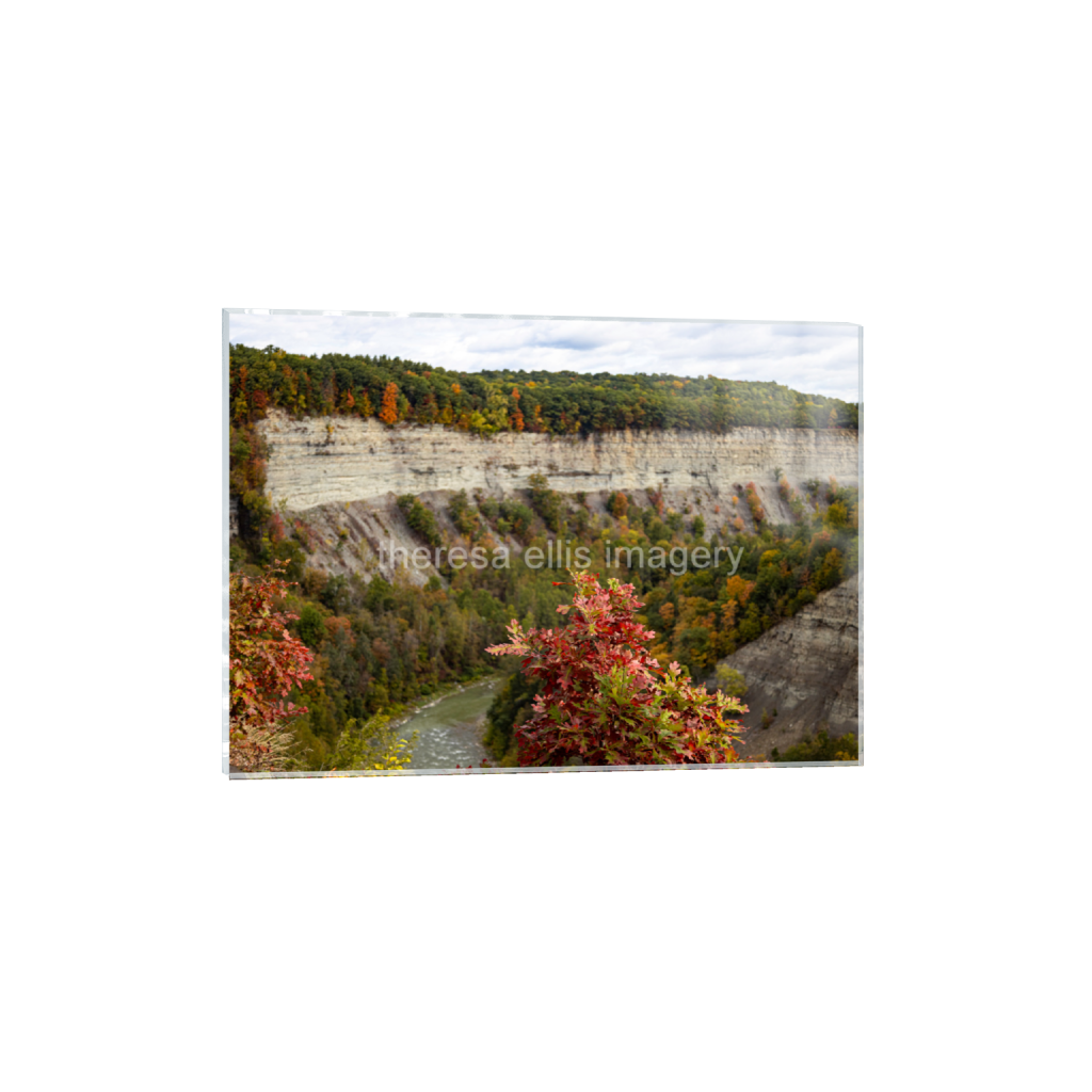 ptq_17_7_945_0_26485_18918_0_false_ffffff_0_0_5c8a65ded2a0bd5ee7c2169a49639388.png