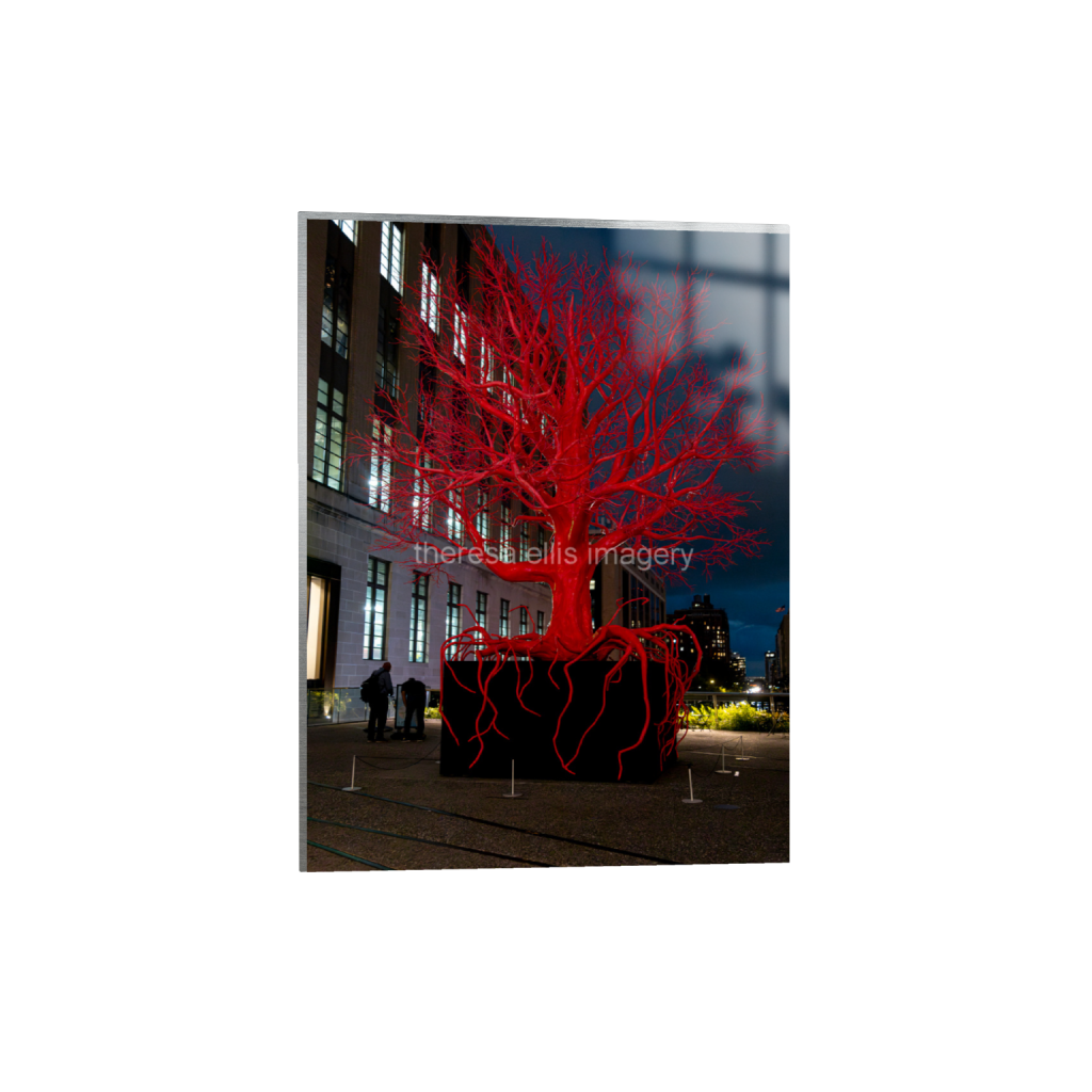 ptq_13_5_0_280_4480_5973_0_false_ffffff_0_0_5c8a65ded2a0bd5ee7c2169a49639388.png