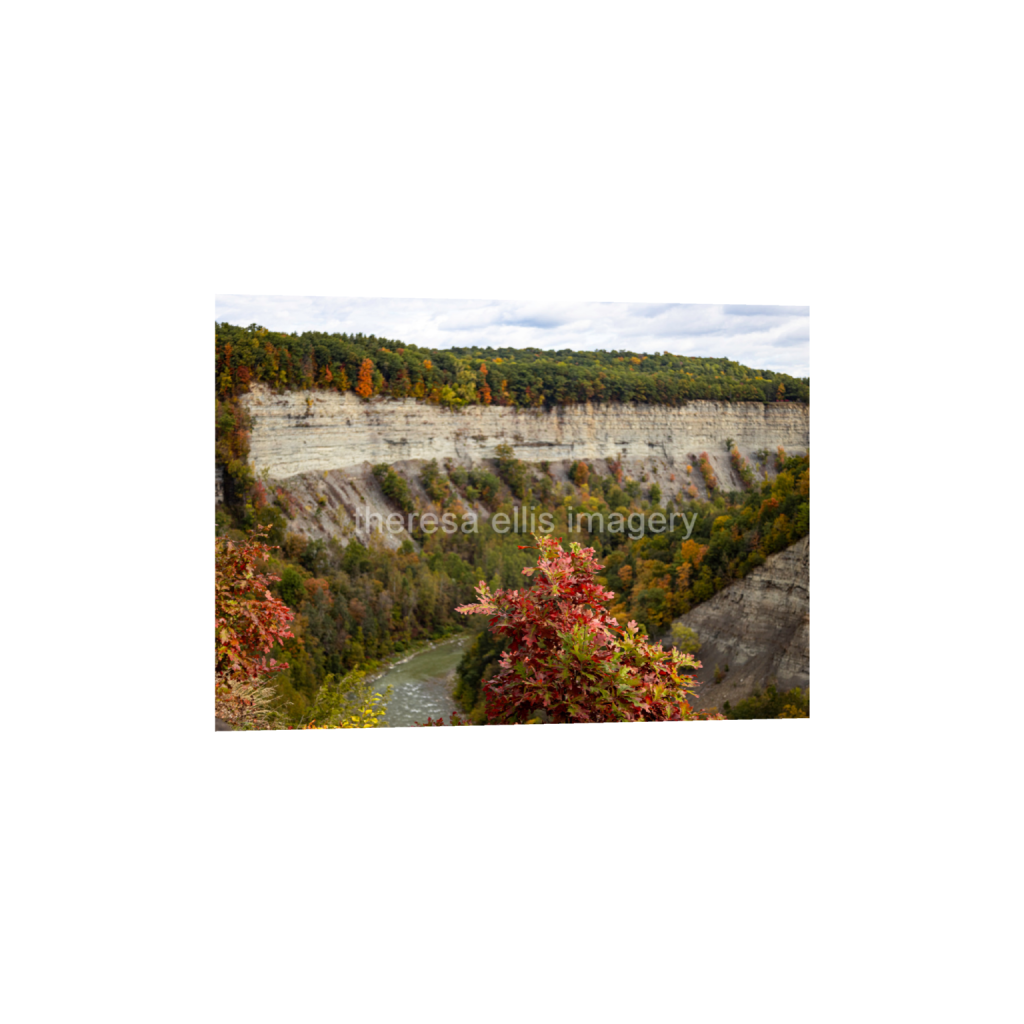 ptq_34_7_945_0_26485_18918_0_false_ffffff_0_0_5c8a65ded2a0bd5ee7c2169a49639388.png