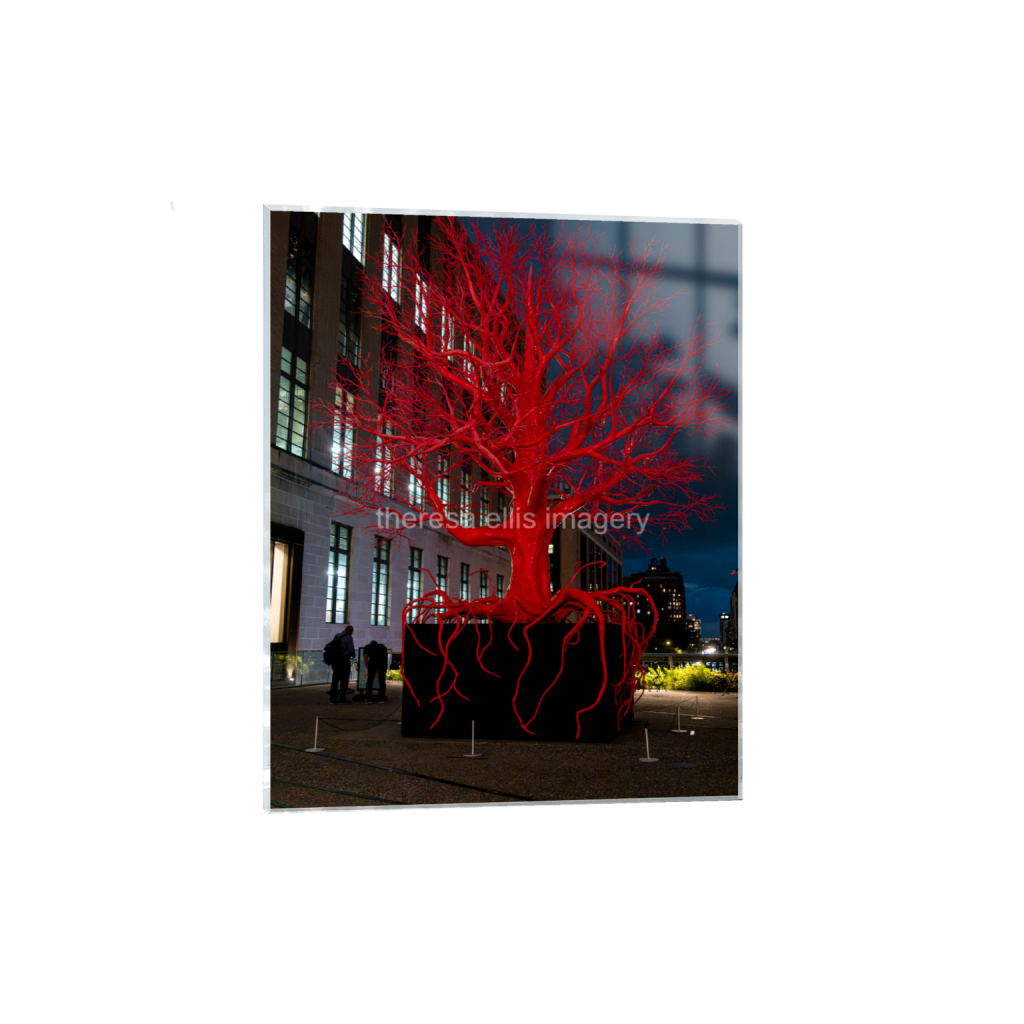 ptq_17_6_0_467_4480_5600_0_false_ffffff_0_0_5c8a65ded2a0bd5ee7c2169a49639388.png