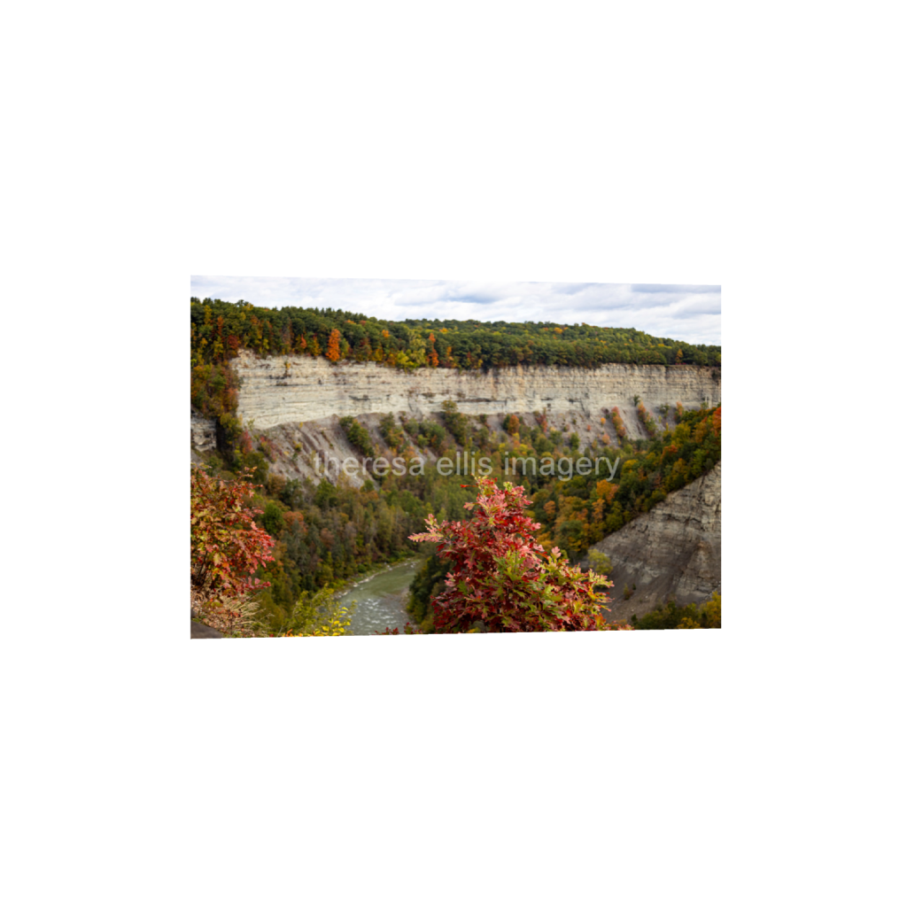 ptq_1_3_0_0_28377_18918_0_false_ffffff_0_0_5c8a65ded2a0bd5ee7c2169a49639388.png
