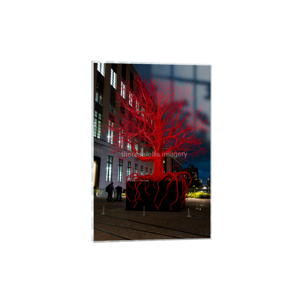 ptq_17_3_61_0_4356_6535_0_false_ffffff_0_0_5c8a65ded2a0bd5ee7c2169a49639388.png