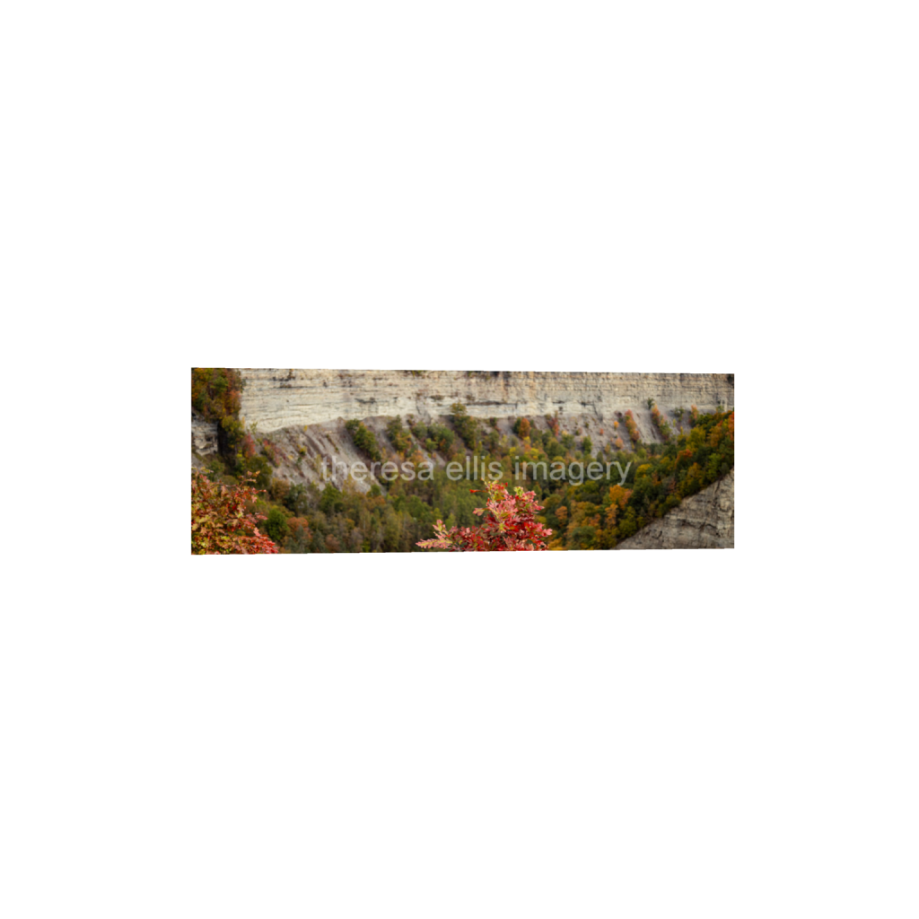 ptq_1_2_0_4729_28377_9459_0_false_ffffff_0_0_5c8a65ded2a0bd5ee7c2169a49639388.png