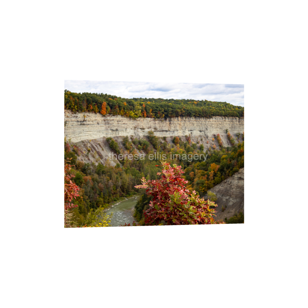 ptq_1_6_2364_0_23647_18918_0_false_ffffff_0_0_5c8a65ded2a0bd5ee7c2169a49639388.png