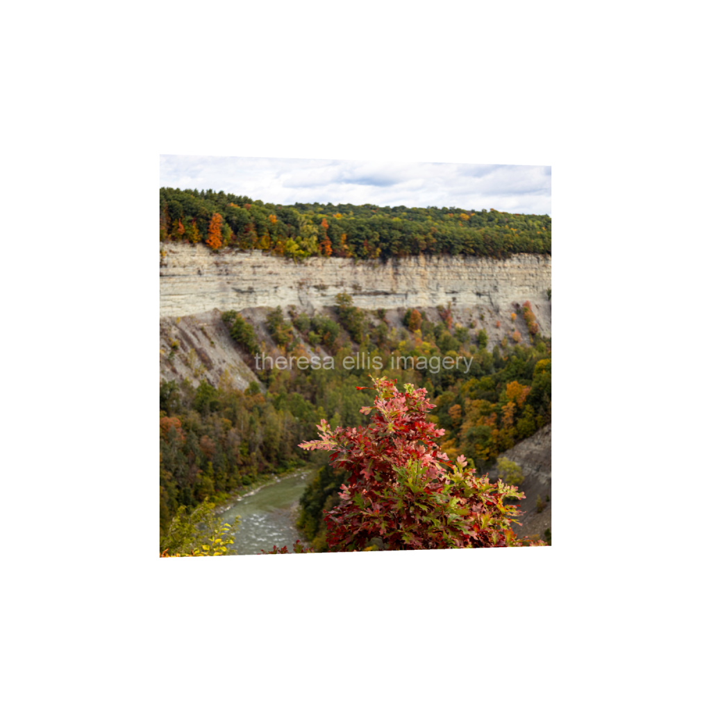 ptq_1_0_4729_0_18918_18918_0_false_ffffff_0_0_5c8a65ded2a0bd5ee7c2169a49639388.png