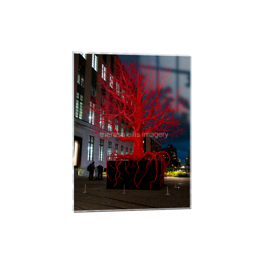 ptq_17_5_0_280_4480_5973_0_false_ffffff_0_0_5c8a65ded2a0bd5ee7c2169a49639388.png