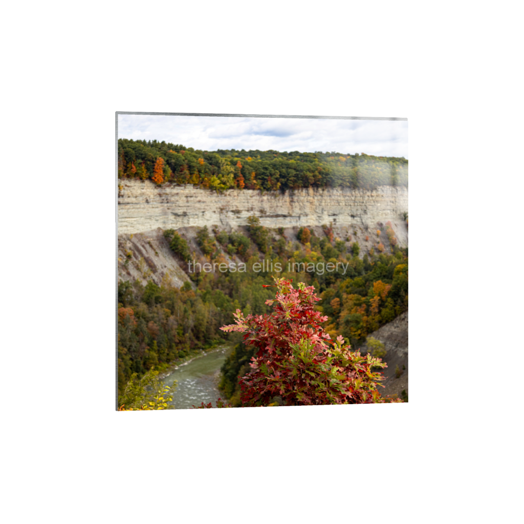 ptq_13_0_4729_0_18918_18918_0_false_ffffff_0_0_5c8a65ded2a0bd5ee7c2169a49639388.png