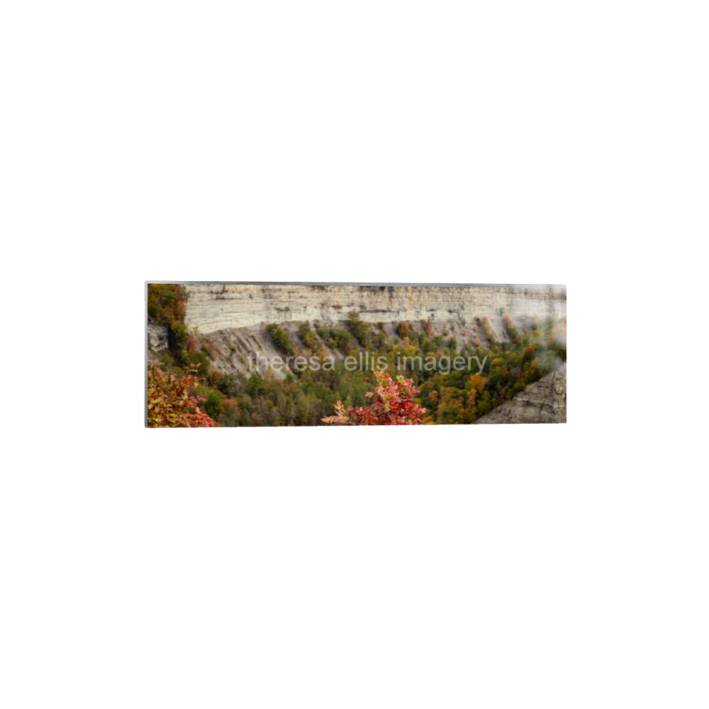 ptq_13_2_0_4729_28377_9459_0_false_ffffff_0_0_5c8a65ded2a0bd5ee7c2169a49639388.png