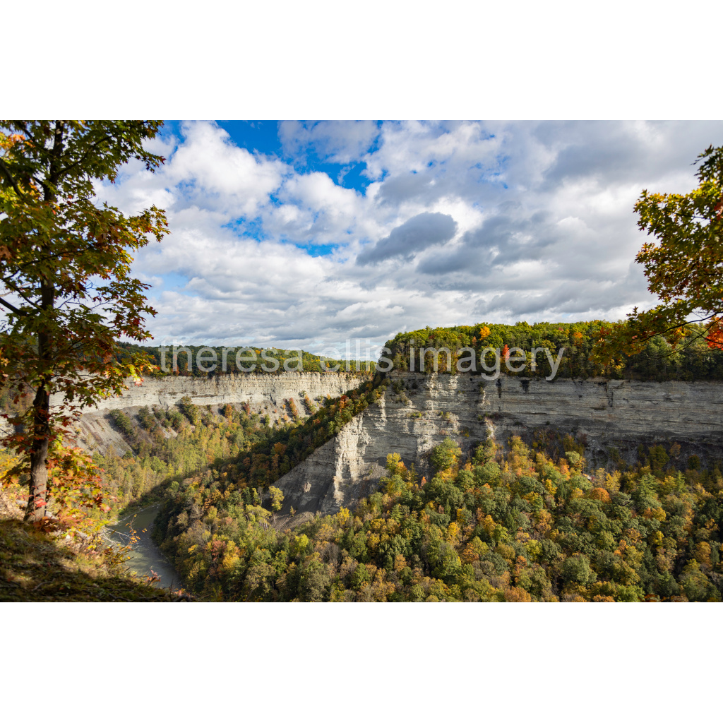 image_original_5c8a65ded2a0bd5ee7c2169a49639388.png