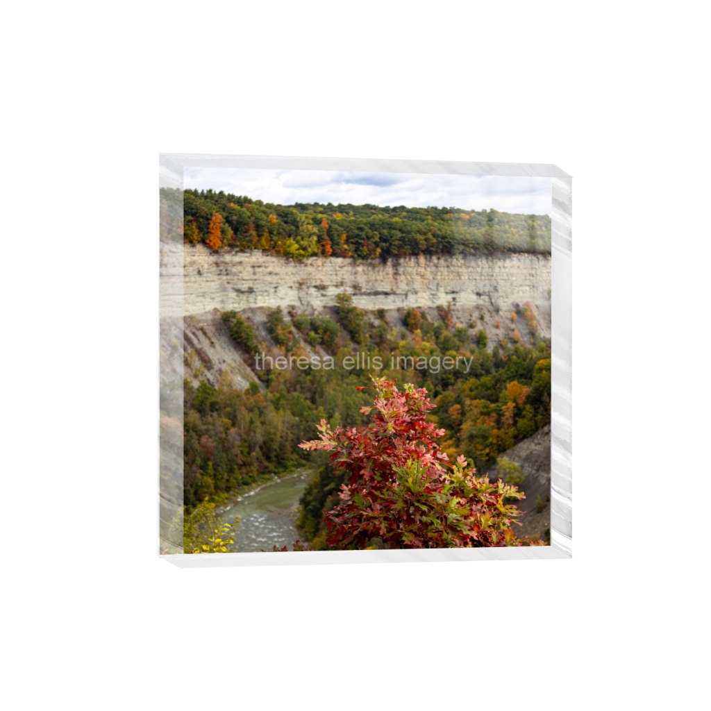 ptq_300_0_4729_0_18918_18918_0_false_ffffff_0_0_5c8a65ded2a0bd5ee7c2169a49639388.png