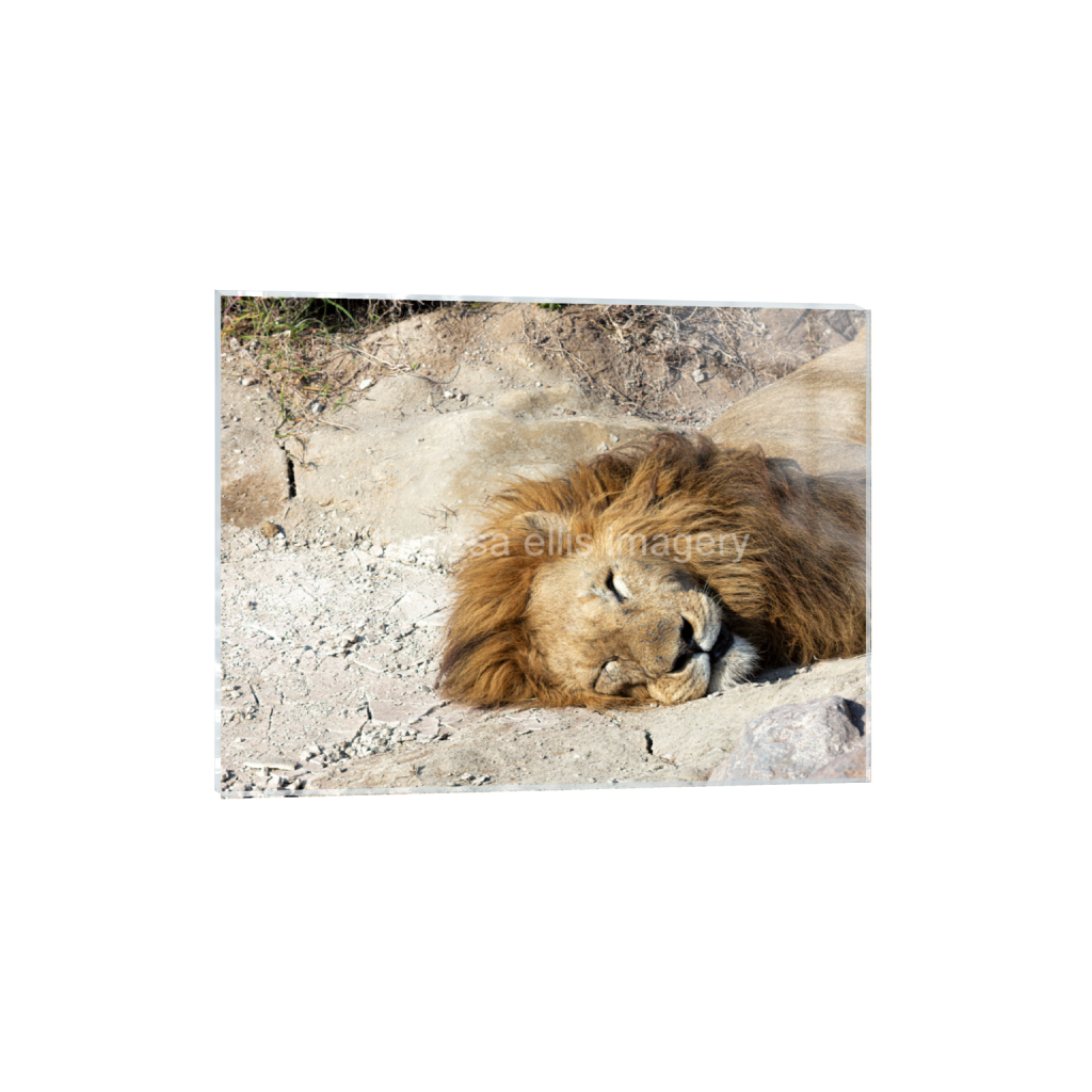 ptq_17_5_373_0_5973_4480_0_false_ffffff_0_0_5c8a65ded2a0bd5ee7c2169a49639388.png