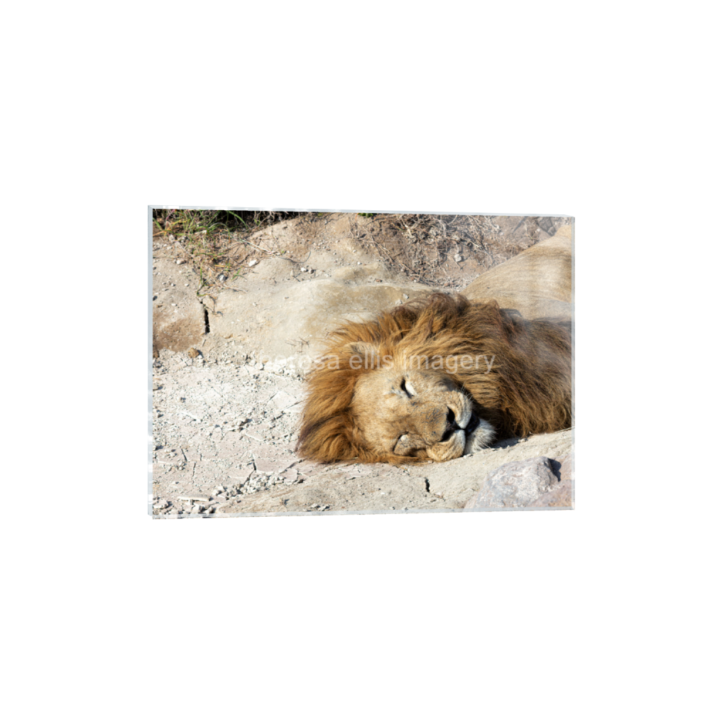 ptq_17_7_224_0_6272_4480_0_false_ffffff_0_0_5c8a65ded2a0bd5ee7c2169a49639388.png
