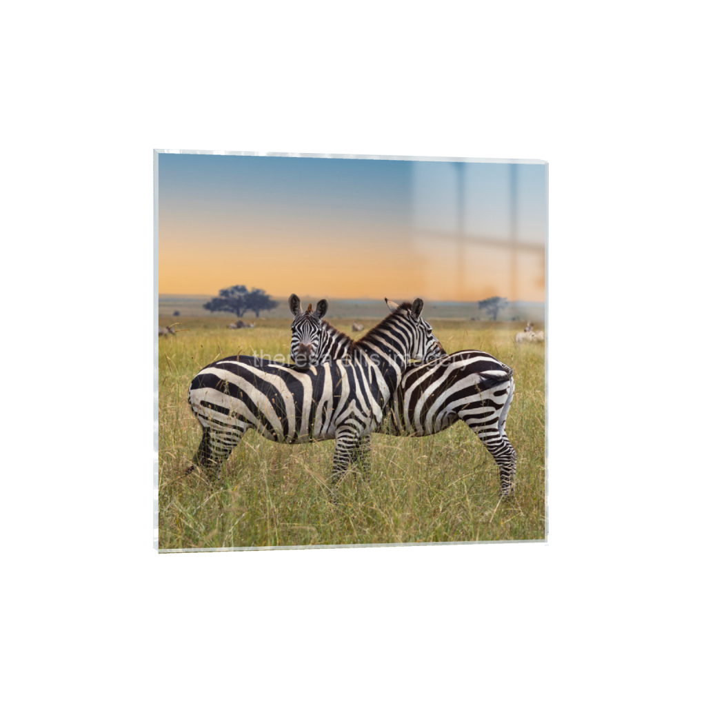 ptq_17_0_2499_0_9999_9999_0_false_ffffff_0_0_5c8a65ded2a0bd5ee7c2169a49639388.png