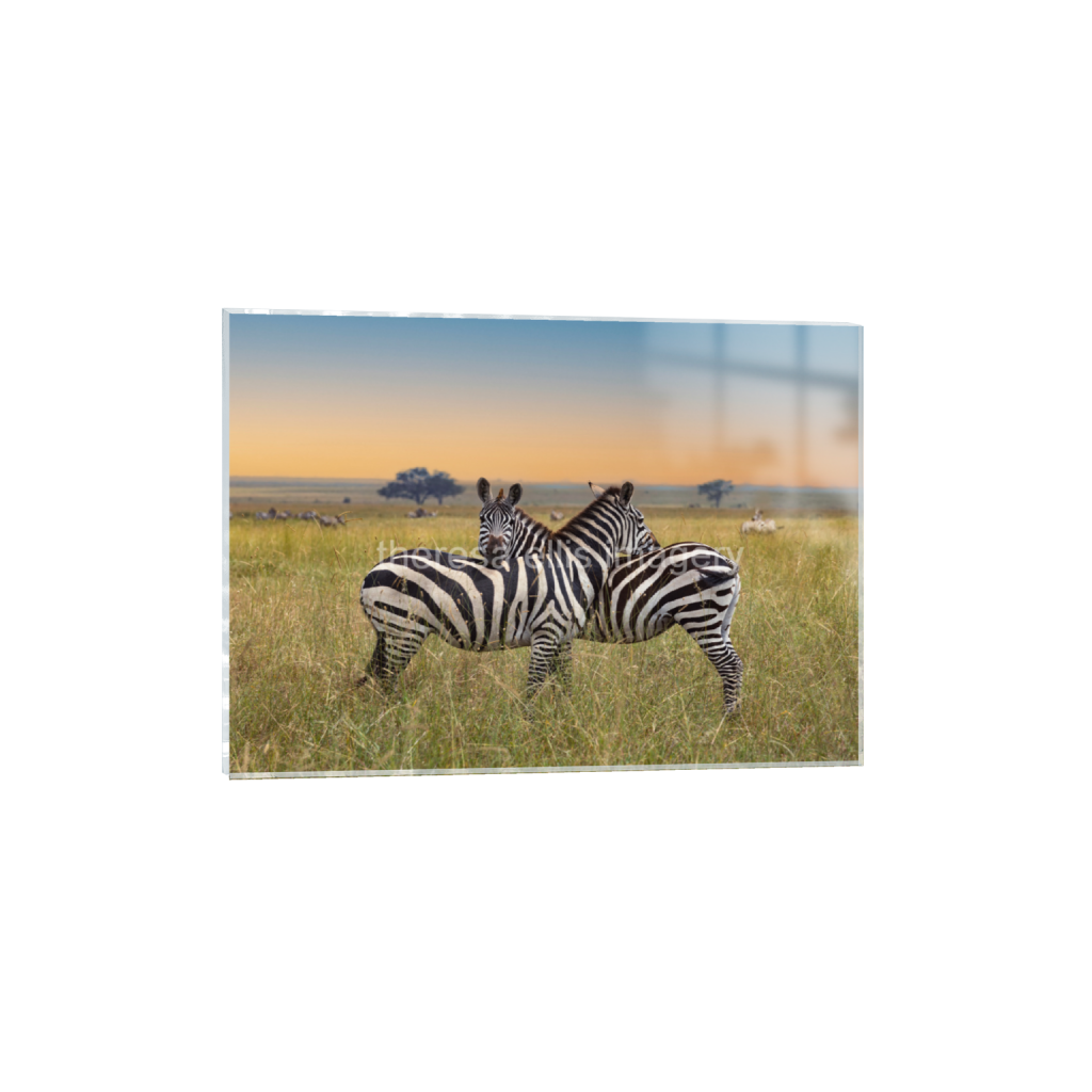 ptq_17_7_499_0_13998_9999_0_false_ffffff_0_0_5c8a65ded2a0bd5ee7c2169a49639388.png