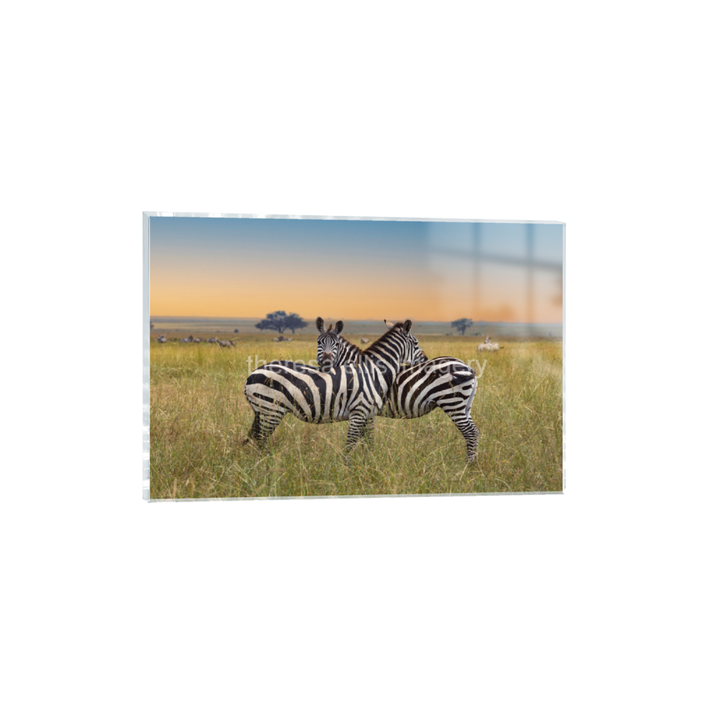 ptq_17_3_0_0_14997_9998_0_false_ffffff_0_0_5c8a65ded2a0bd5ee7c2169a49639388.png