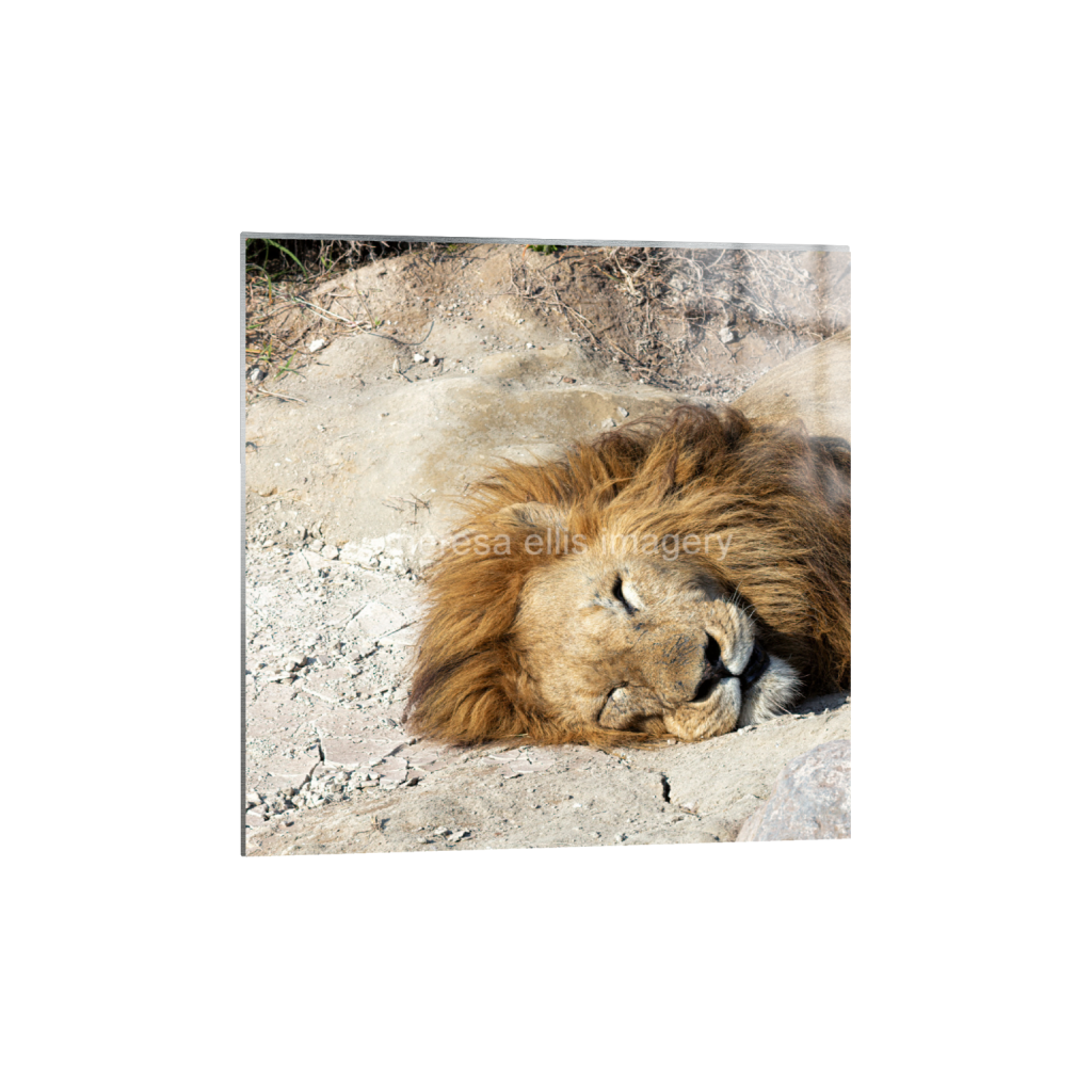 ptq_13_0_1120_0_4480_4480_0_false_ffffff_0_0_5c8a65ded2a0bd5ee7c2169a49639388.png