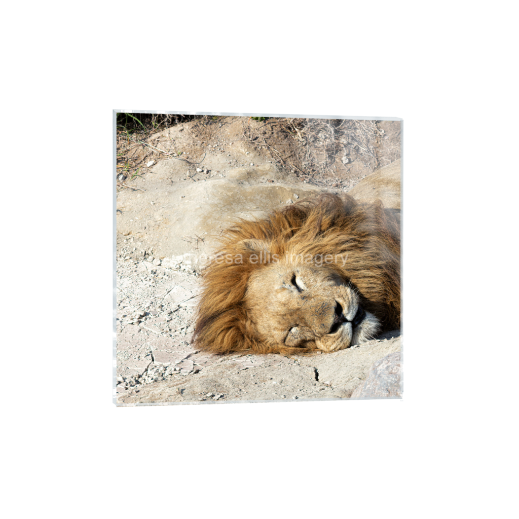 ptq_17_0_1120_0_4480_4480_0_false_ffffff_0_0_5c8a65ded2a0bd5ee7c2169a49639388.png