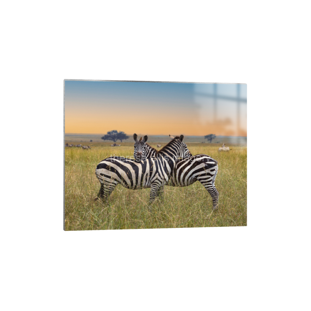 ptq_13_6_1249_0_12498_9999_0_false_ffffff_0_0_5c8a65ded2a0bd5ee7c2169a49639388.png