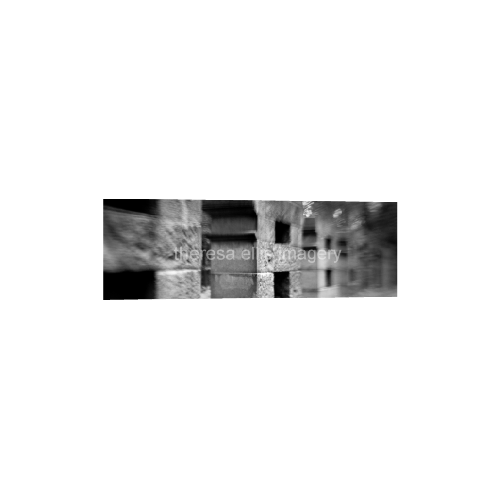 ptq_1_2_0_800_4800_1600_0_false_ffffff_0_0_5c8a65ded2a0bd5ee7c2169a49639388.png