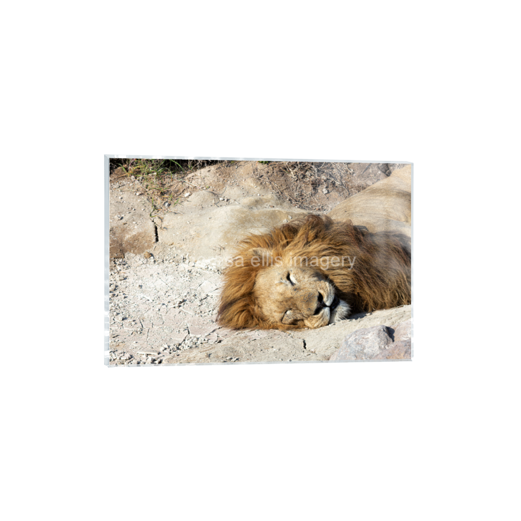 ptq_17_3_0_0_6720_4480_0_false_ffffff_0_0_5c8a65ded2a0bd5ee7c2169a49639388.png
