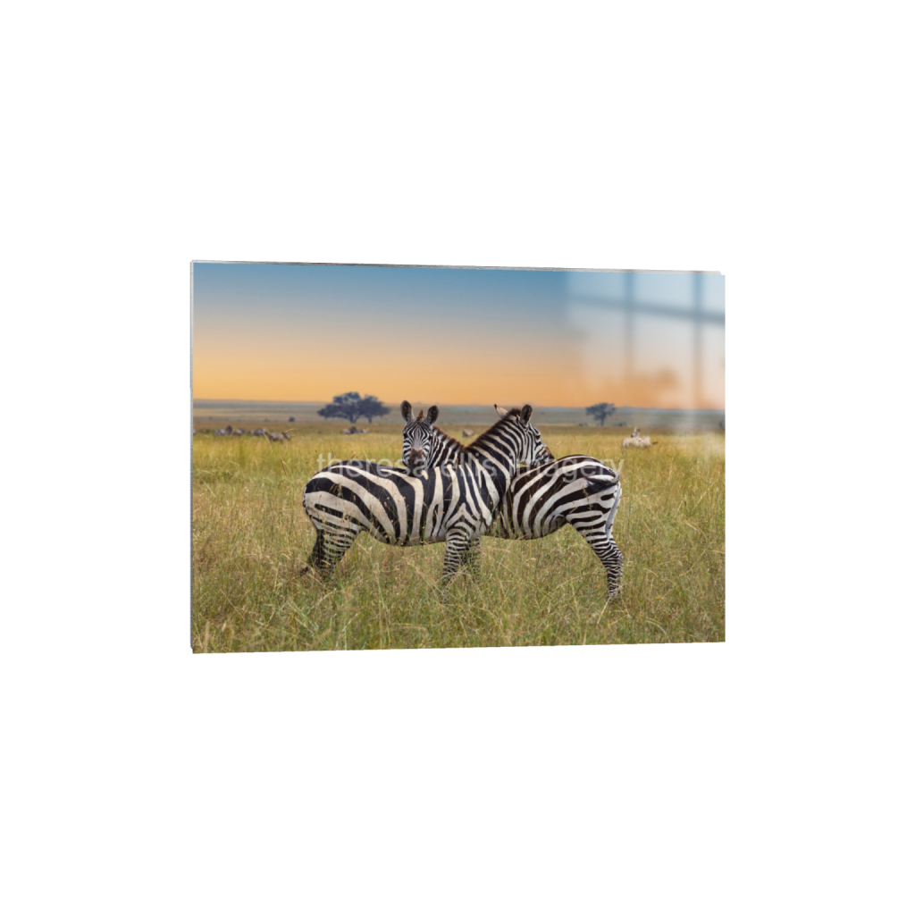 ptq_13_7_499_0_13998_9999_0_false_ffffff_0_0_5c8a65ded2a0bd5ee7c2169a49639388.png