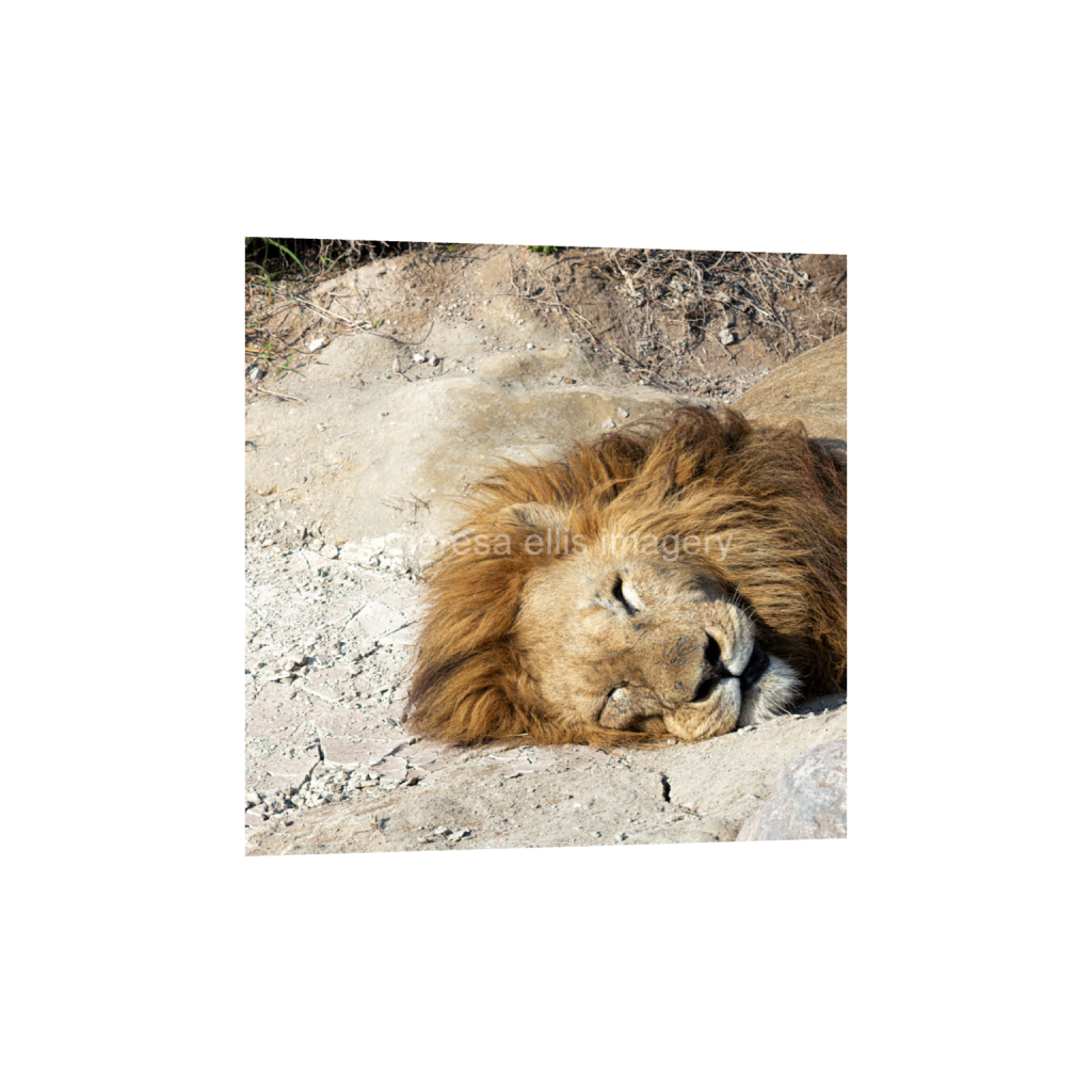 ptq_1_0_1120_0_4480_4480_0_false_ffffff_0_0_5c8a65ded2a0bd5ee7c2169a49639388.png