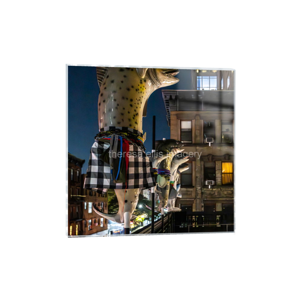 ptq_17_0_0_1072_4480_4480_0_false_ffffff_0_0_5c8a65ded2a0bd5ee7c2169a49639388.png