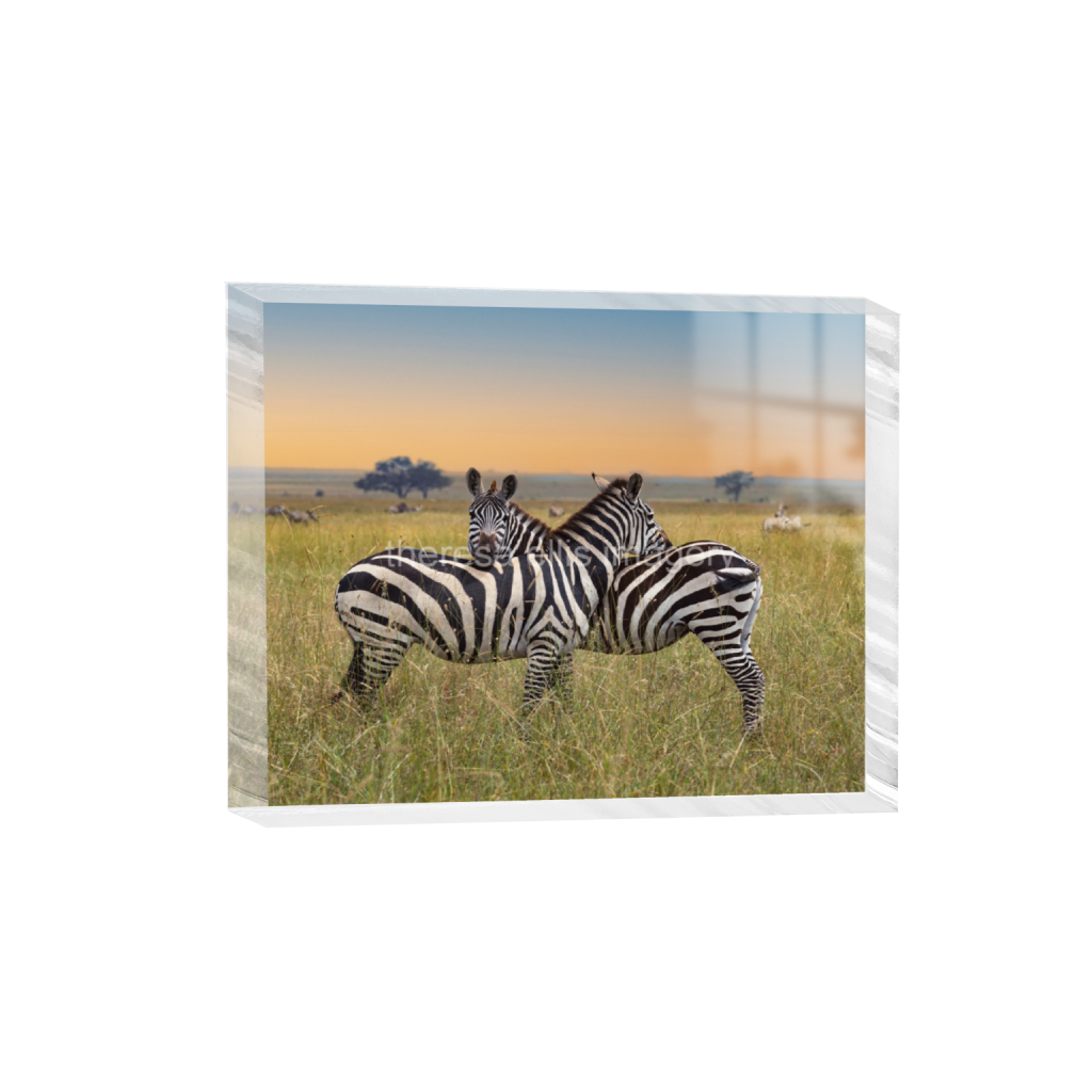 ptq_300_6_1249_0_12498_9999_0_false_ffffff_0_0_5c8a65ded2a0bd5ee7c2169a49639388.png