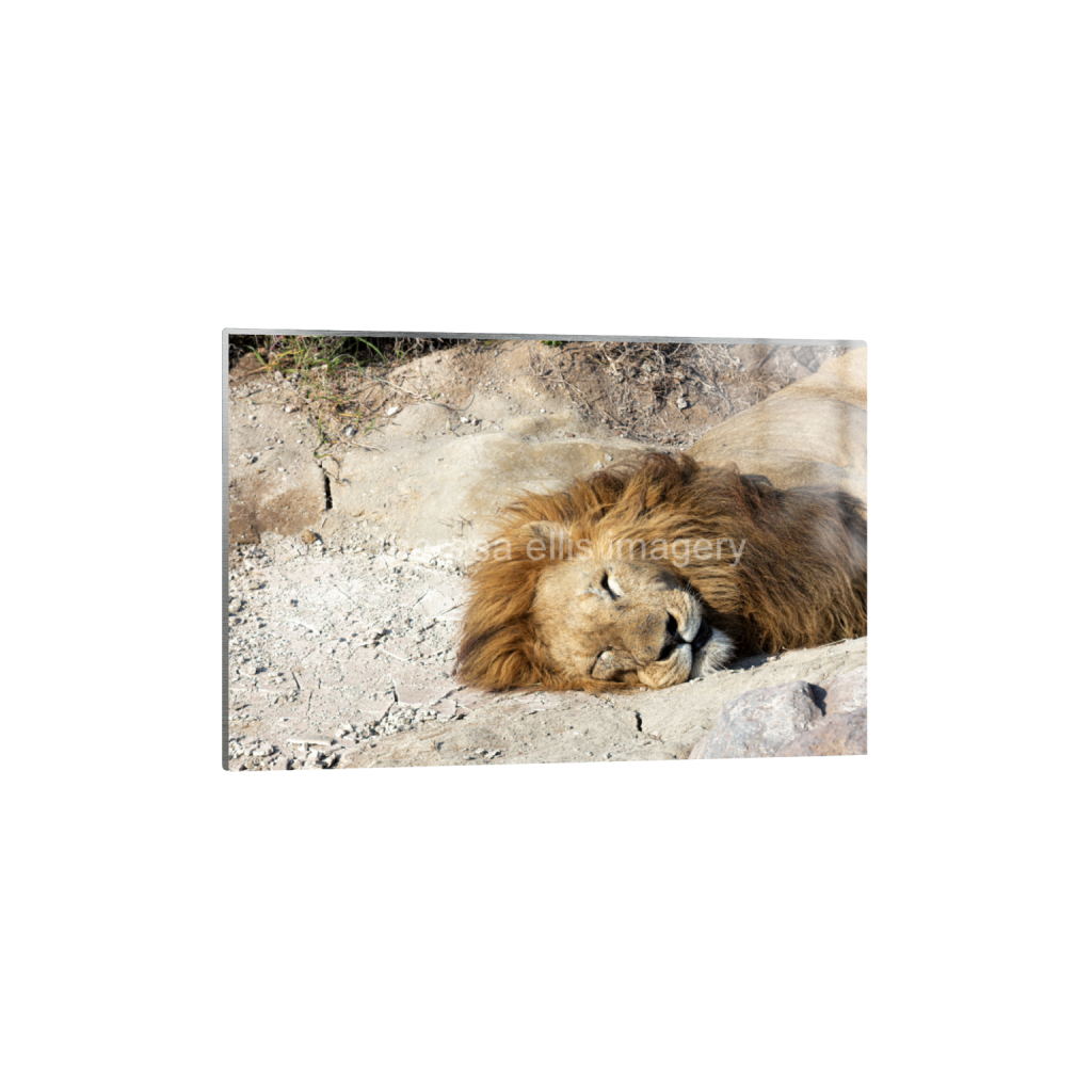 ptq_13_3_0_0_6720_4480_0_false_ffffff_0_0_5c8a65ded2a0bd5ee7c2169a49639388.png