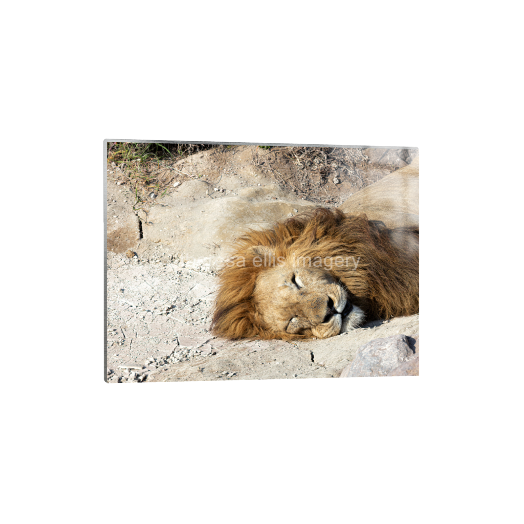 ptq_13_5_373_0_5973_4480_0_false_ffffff_0_0_5c8a65ded2a0bd5ee7c2169a49639388.png