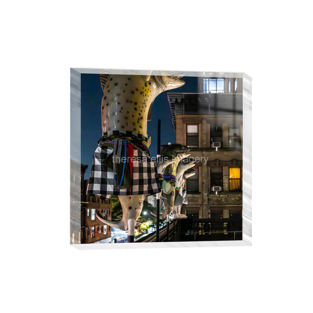 ptq_300_0_0_1072_4480_4480_0_false_ffffff_0_0_5c8a65ded2a0bd5ee7c2169a49639388.png