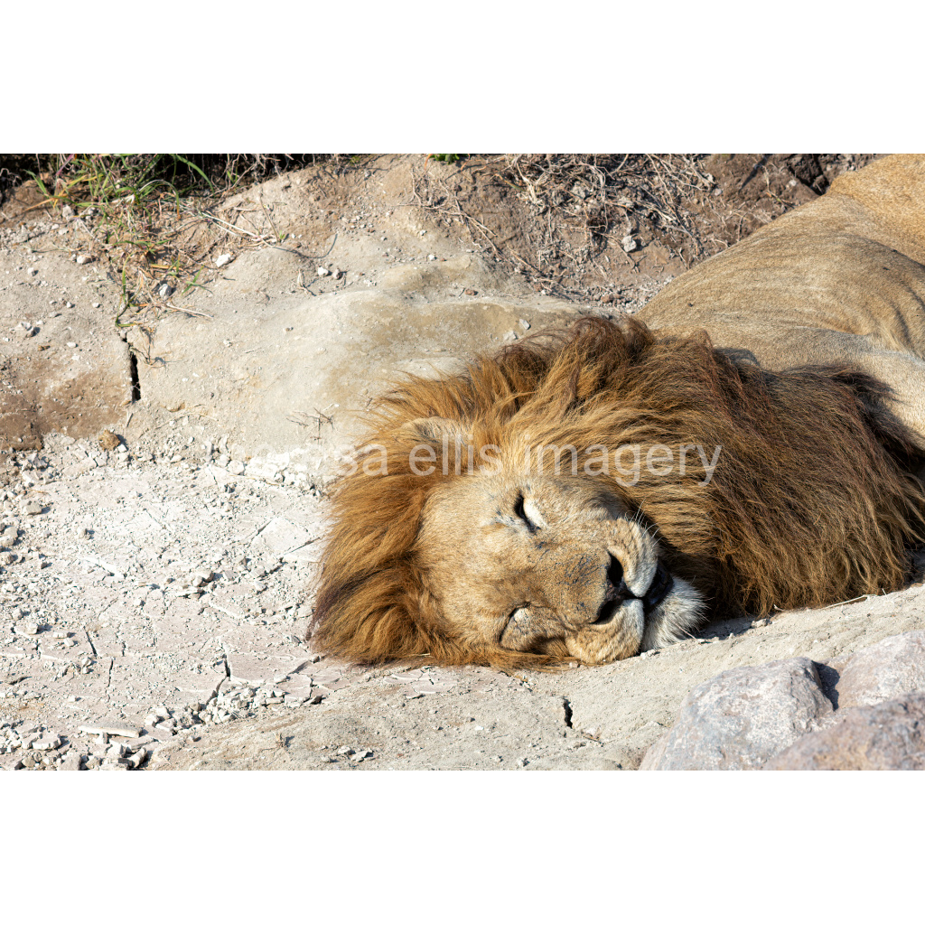 image_original_5c8a65ded2a0bd5ee7c2169a49639388.png