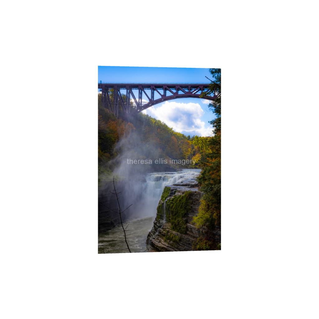 ptq_1_3_0_0_18918_28377_0_false_ffffff_0_0_5c8a65ded2a0bd5ee7c2169a49639388.png