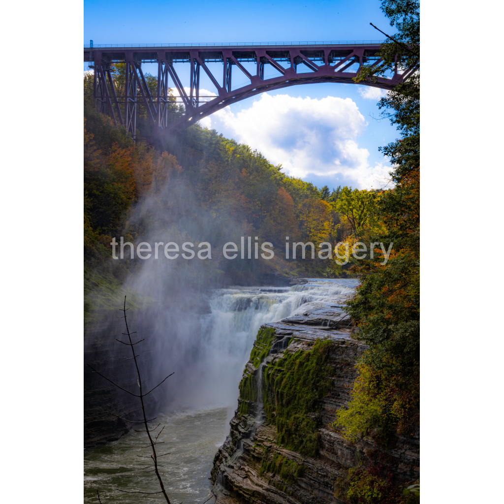 image_original_5c8a65ded2a0bd5ee7c2169a49639388.png