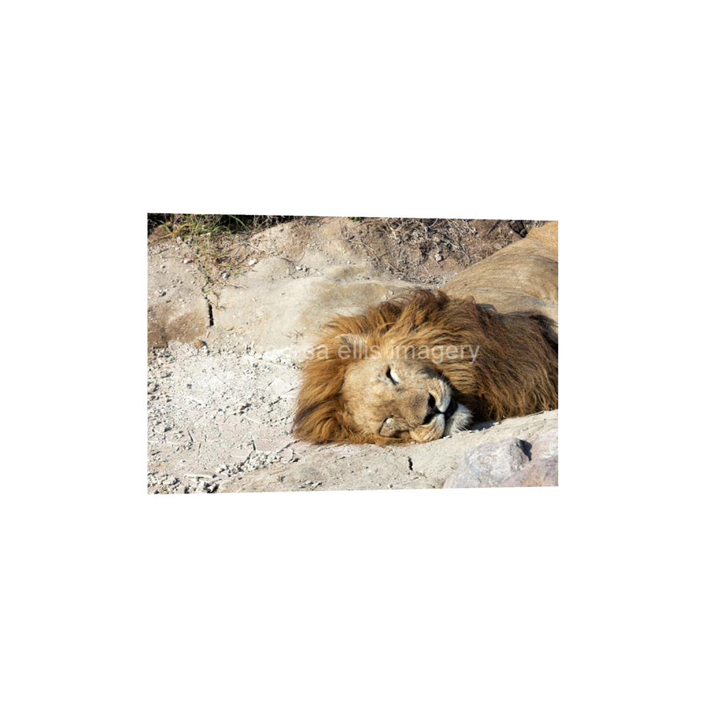 ptq_1_3_0_0_6720_4480_0_false_ffffff_0_0_5c8a65ded2a0bd5ee7c2169a49639388.png